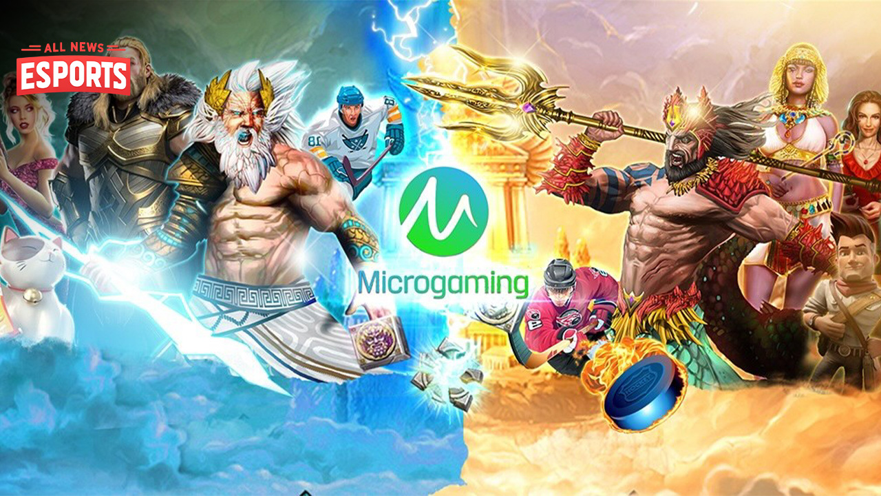 Provider Microgaming