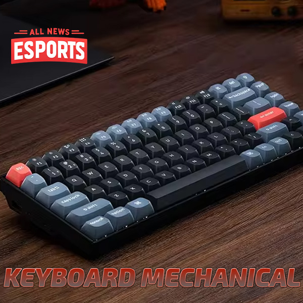 Keyboard Mechanical