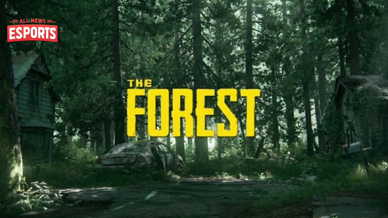 The Forest