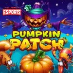 Labu Emas Menanti! Coba Keberuntunganmu di Pumpkin Patch!